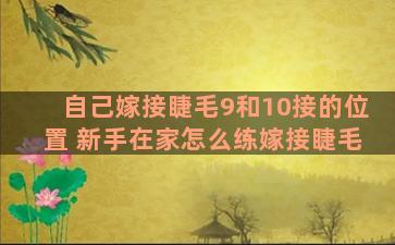 自己嫁接睫毛9和10接的位置 新手在家怎么练嫁接睫毛